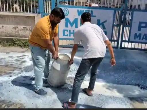 हिमाचल प्रदेश: किसान ने प्लांट के बाहर 500 लीटर दूध बहाया, बोला- 50 हजार का नुकसान हुआ, 2 दिन से दूध नहीं खरीद रहा मिल्कफेड