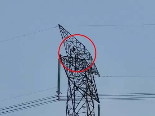 कोरबा: पत्नी के इनकार से नाराज पति 500 फीट ऊंचे टावर पर चढ़ा, शादी-समारोह में विवाद होने पर महिला को वापस चलने के लिए बोला था, मना किया तो गुस्से में की हरकत, 3 घंटे बाद नीचे उतरा