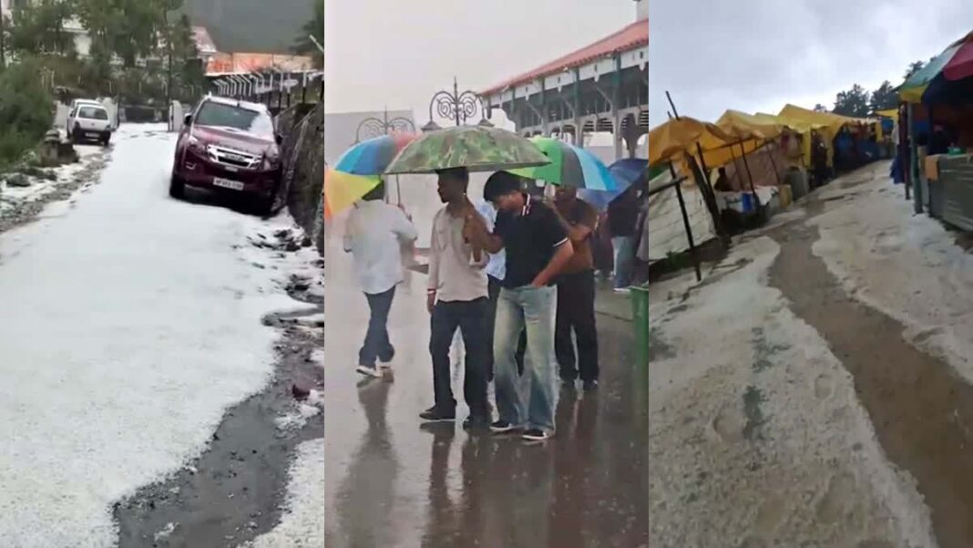 हिमाचल प्रदेश: शिमला में अचानक बदला मौसम, भारी ओलावृष्टि के साथ जमकर बरस रहे बादल, तापमान में भारी गिरावट, जमीन पर ओले की 3 इंच मोटी परत बिछी, सेब की फसल तबाह, 3 जिलों को चेतावनी जारी