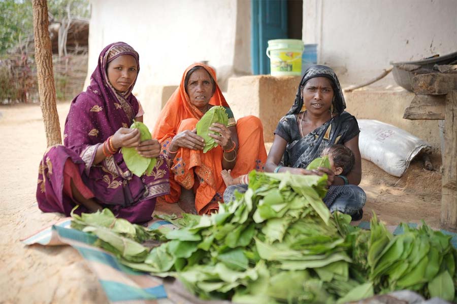 रायपुर : तेज धूप और थकान में भी हरा सोना से मिलती है राहत