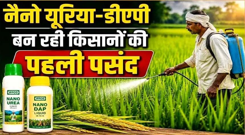 रायपुर : नैनो यूरिया और नैनो डीएपी से कम लागत में ज्यादा उत्पादन