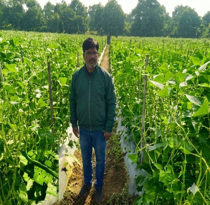 रायपुर : उद्यानिकी की आधुनिक तकनीकों से किसान महेश कश्यप की बदली तकदीर
