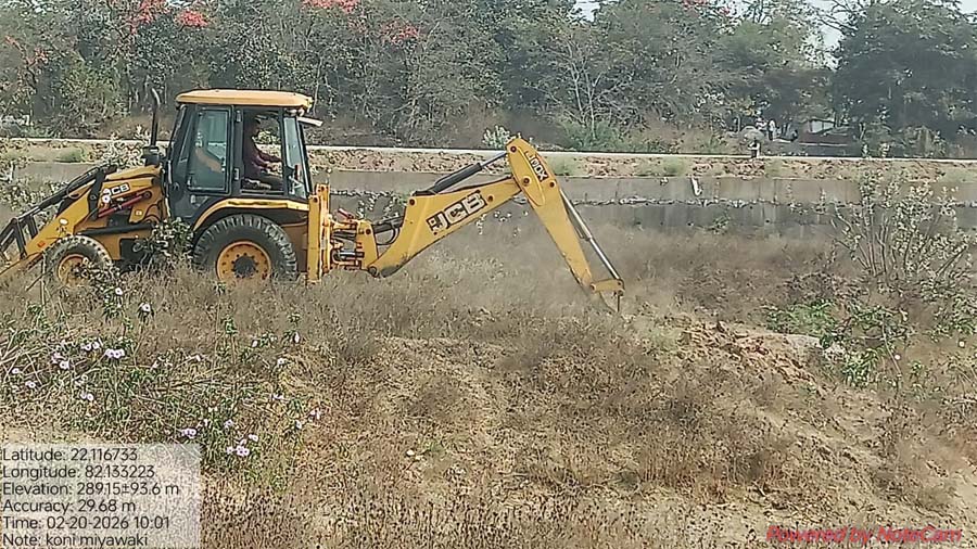 रायपुर : बिलासपुर की लाइफलाइन अरपा के तट पर उगेगा मियावाकी जंगल
