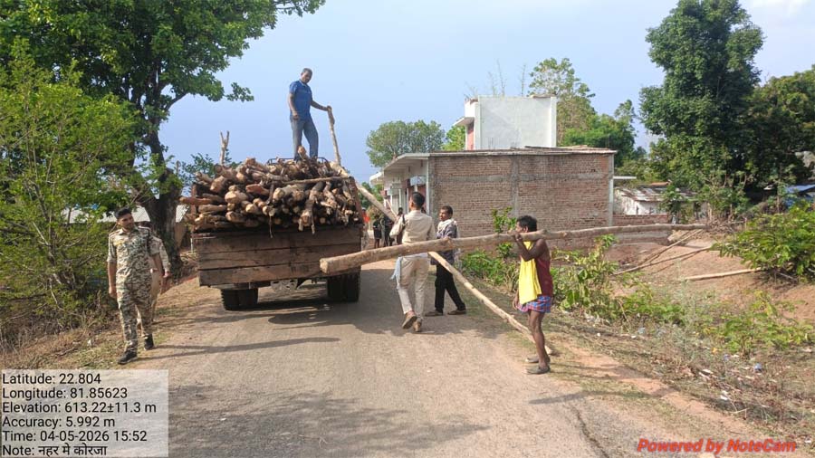 रायपुर : गौरेला क्षेत्र में सागौन की अवैध कटाई पर वन विभाग की बड़ी कार्रवाई