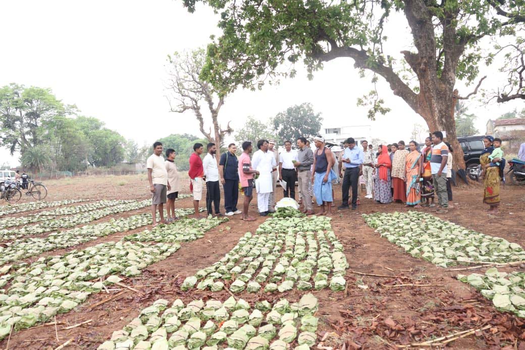 रायपुर : तेन्दूपत्ता संग्रहण में छत्तीसगढ़ ने बनाया नया रिकॉर्ड, अब तक 13.52 लाख मानक बोरा संग्रहित