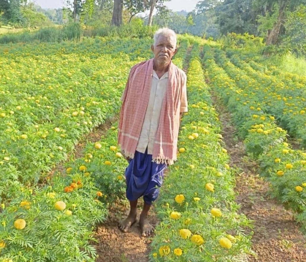 रायपुर : धान छोड़ फूलों की खेती ने बदली आनंदराम की तकदीर