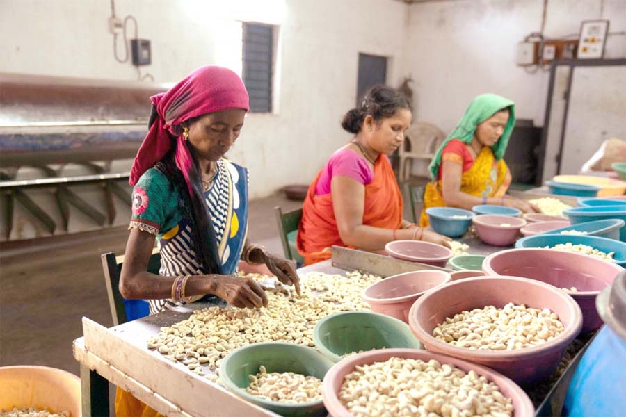 रायपुर : वन धन विकास केंद्र वनांचल की महिलाओं के लिए आत्मनिर्भरता का नया सोपान