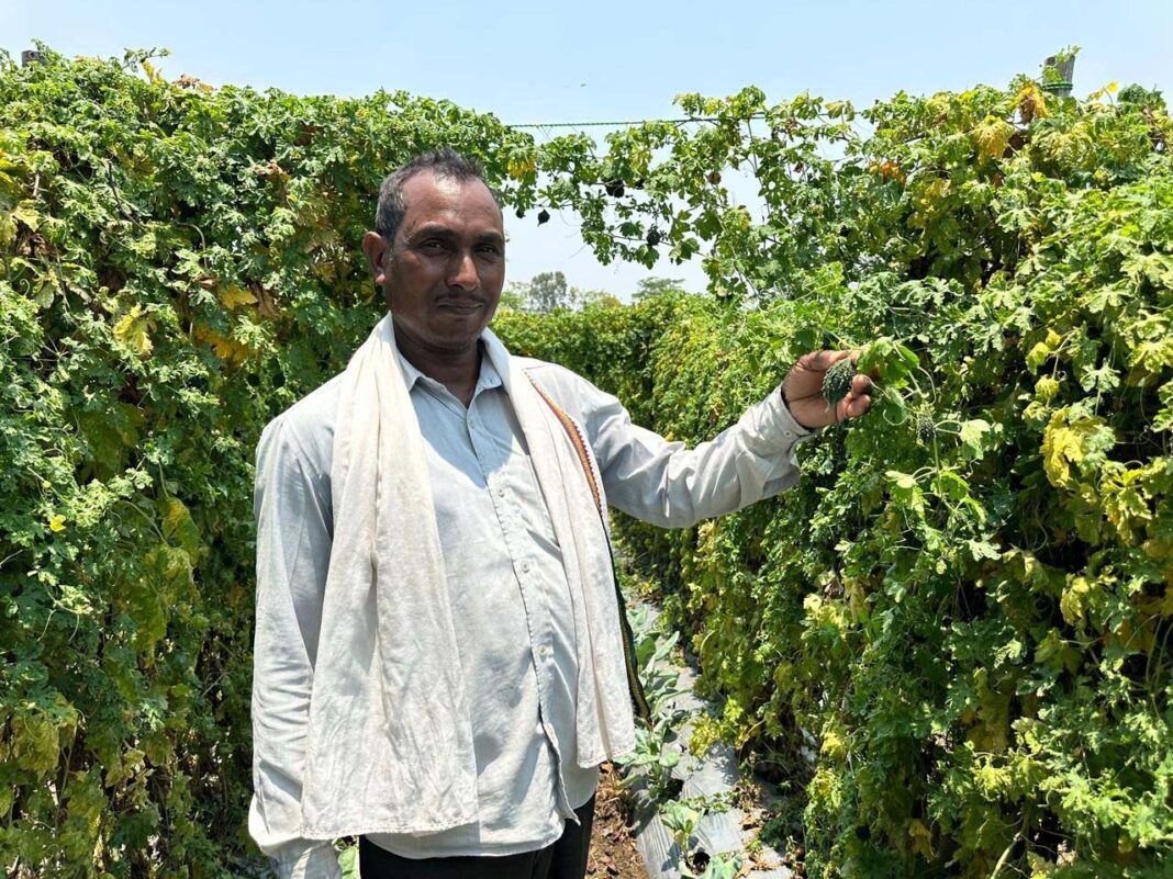 रायपुर : वाटरशेड योजना बनी किसान छबी लाल की समृद्धि का आधार