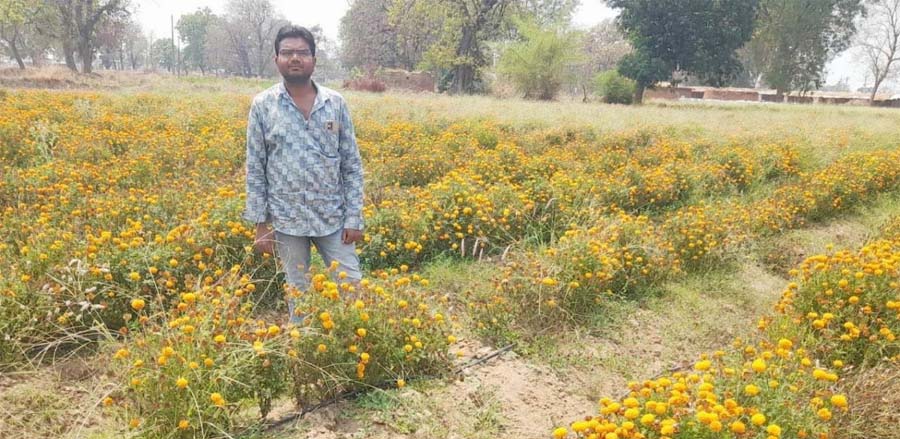 रायपुर : गेंदा की खेती से बढ़ी आय और बनी नई पहचान