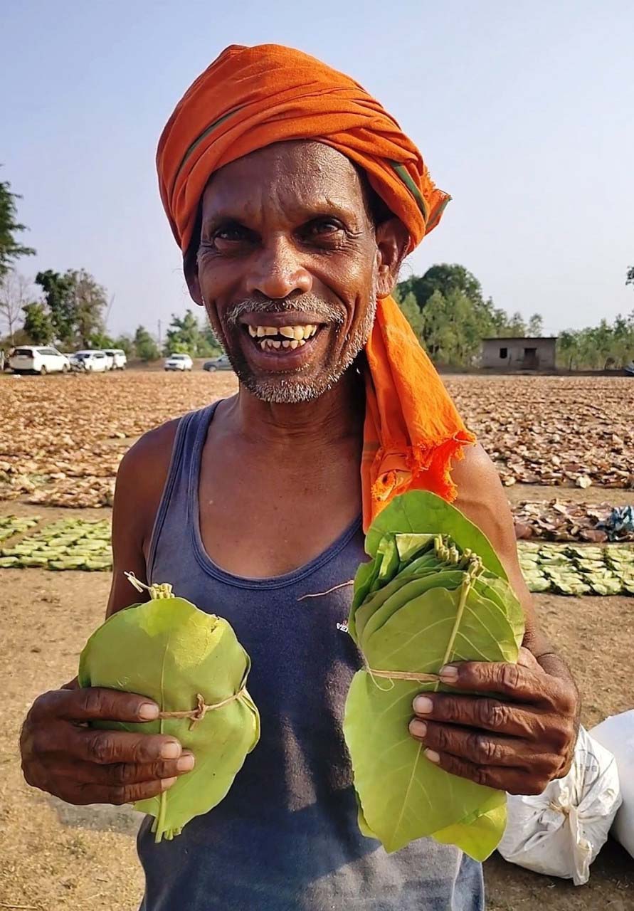 रायपुर : तेंदूपत्ता की बढ़ी दर से बदली जिंदगी- बहेराटोला के अमोल सिंह बोले सरकार ने वनवासियों को दिया सम्मान और आर्थिक संबल