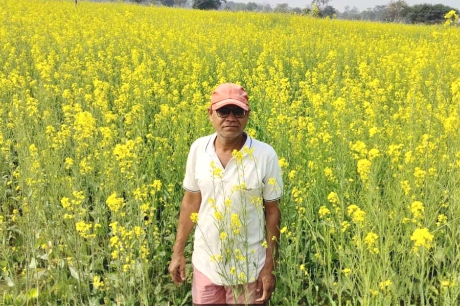 रायपुर : योजना, मार्गदर्शन और नवाचार से समृद्धि की नई कहानी