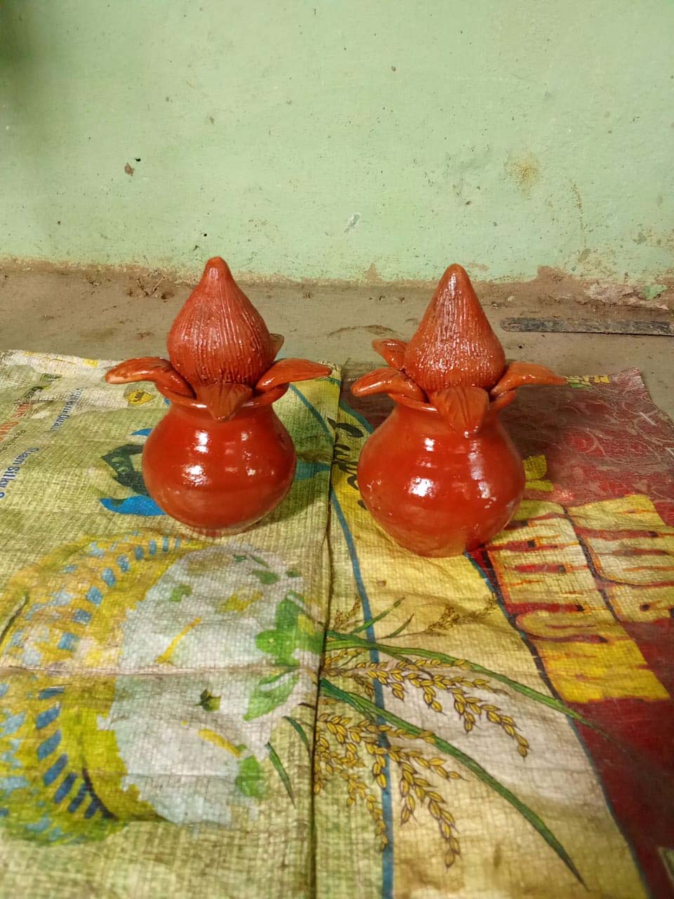 रायपुर : मिट्टी से गढ़ी सफलता की नई इबारत