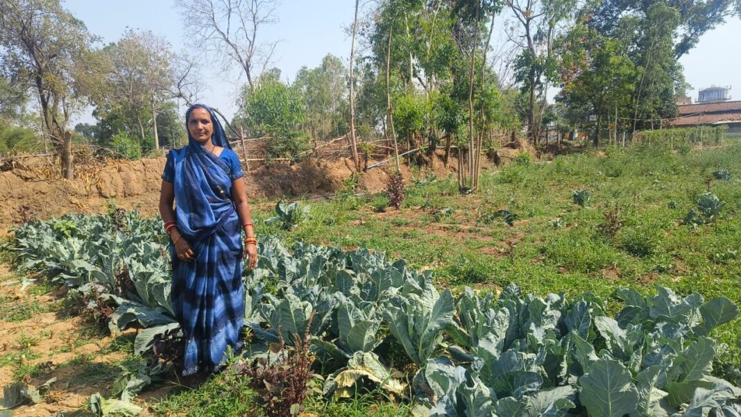 रायपुर : संघर्ष से लखपति दीदी बनने तक का सफर- भगवती राठौर बनीं मिसाल