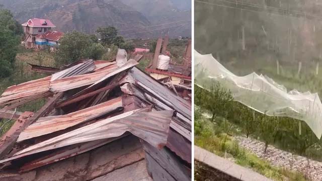 हिमाचल प्रदेश: शिमला में भारी ओलावृष्टि, सेब की फसल को नुकसान, तूफान से उड़ी छत्त, अगले तीन घंटे 4 जिलों में अलर्ट, लाहौल-सोलन में लौटी ठंड; नाहन का पारा भी 7 डिग्री गिरा