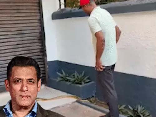 मुंबई: सलमान खान के घर में 5 फुट लंबा सांप मिला, मौके पर पहुंची रेस्क्यू टीम, बिना सुरक्षा उपकरण के हाथों से पकड़ा