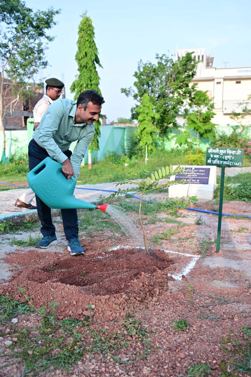 रायपुर : प्रभारी सचिव अंकित आनंद ने ‘एक पेड़ माँ के नाम’ अभियान के तहत किया पौधरोपण