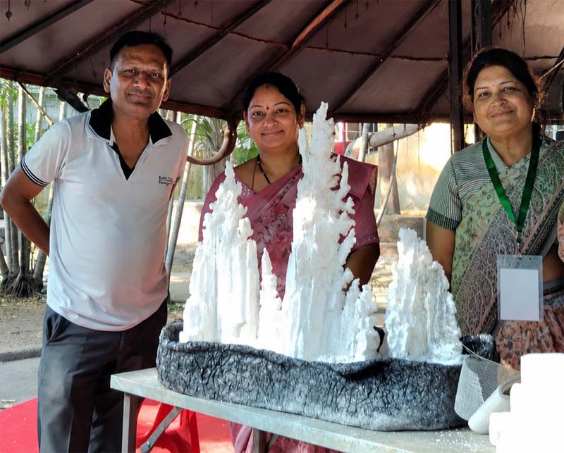 रायपुर : सृजन का कमाल : ‘आकार-2026’ में सिपोरेक्स और थर्माकोल से गढ़ी गई कला की नई दुनिया