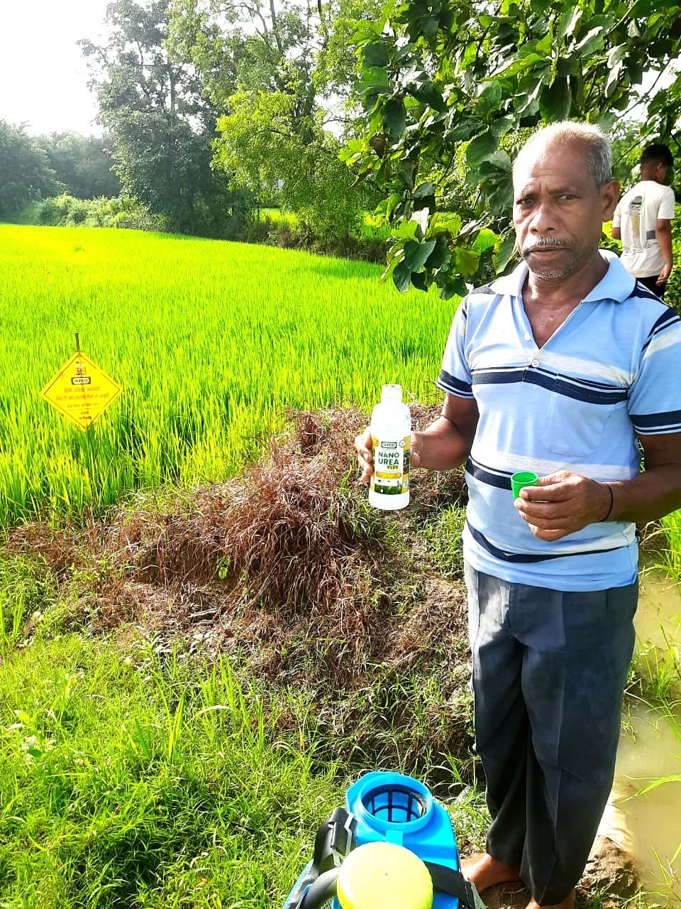 रायपुर : नैनो उर्वरक के उपयोग से धान उत्पादन में हुई वृद्धि, लागत में आई कमी – किसान निरंजन