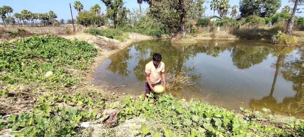 रायपुर : डबरी से समृद्धि : मत्स्य पालन और सब्जी उत्पादन से आत्मनिर्भर बने किसान वासम अब्बैया