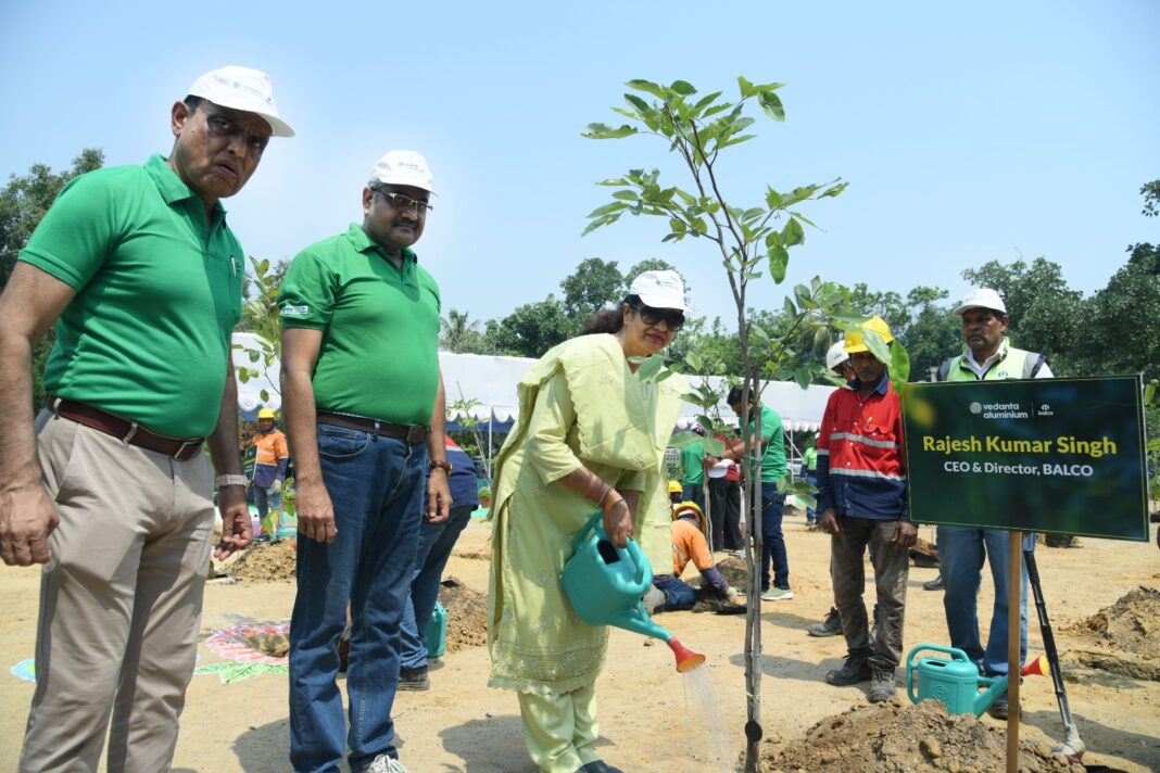 KORBA : हर पौधा बनेगा एक स्मृति, हर वृक्ष रचेगा हरित विरासत की नई कहानीः सीईओ राजेश कुमार सिंह