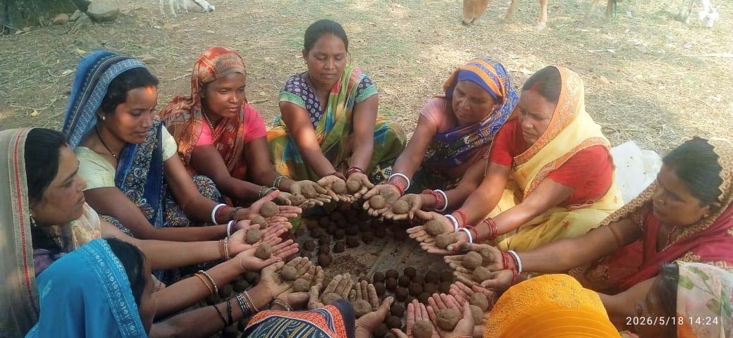 रायपुर : सीड बॉल बनाकर प्रकृति संरक्षण की अनूठी पहल, हरित जशपुर के निर्माण पर जोर