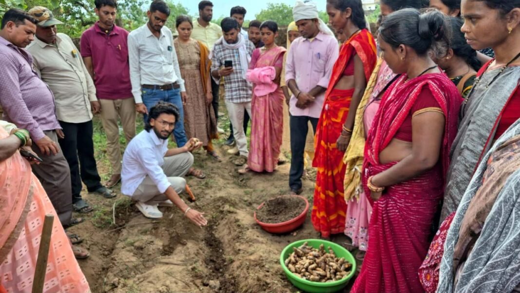 रायपुर : धमतरी का ‘नगरी’ बनेगा हल्दी उत्पादन का नया हब : 250 किसानों ने थामा वैज्ञानिक खेती का हाथ, 250 टन पैदावार का लक्ष्य