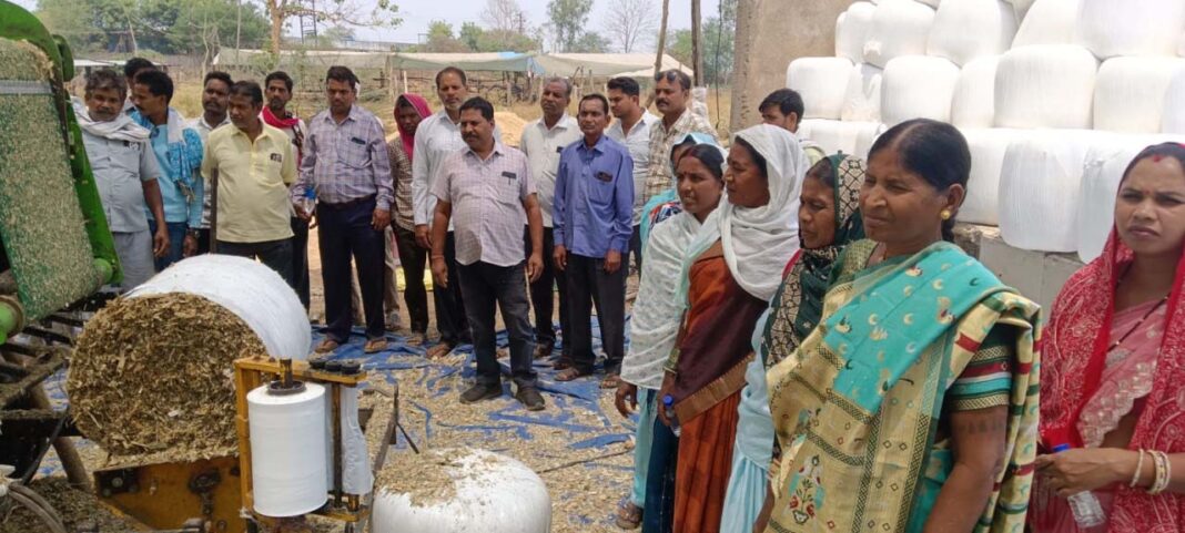 रायपुर : किसानों की अतिरिक्त आमदनी का जरिया है दुग्ध उत्पादन