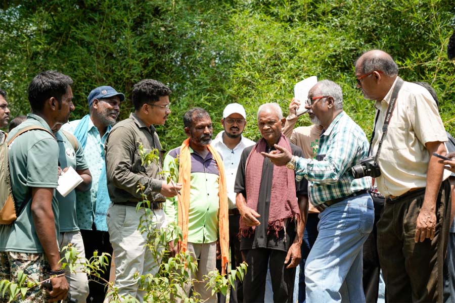 रायपुर : देवपुर में औषधीय वनस्पतियों पर एक दिवसीय बॉटनाइजेशन कार्यशाला