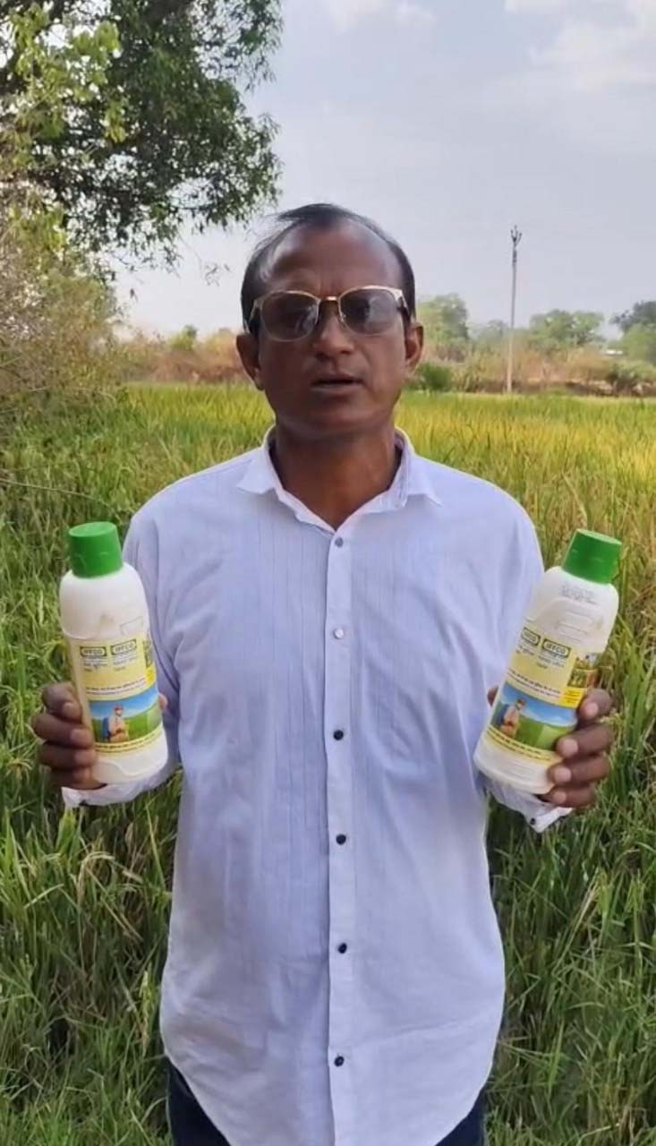 रायपुर : नैनो उर्वरक से अशोक शार्दुल को कम लागत में मिल रही अधिक उत्पादन