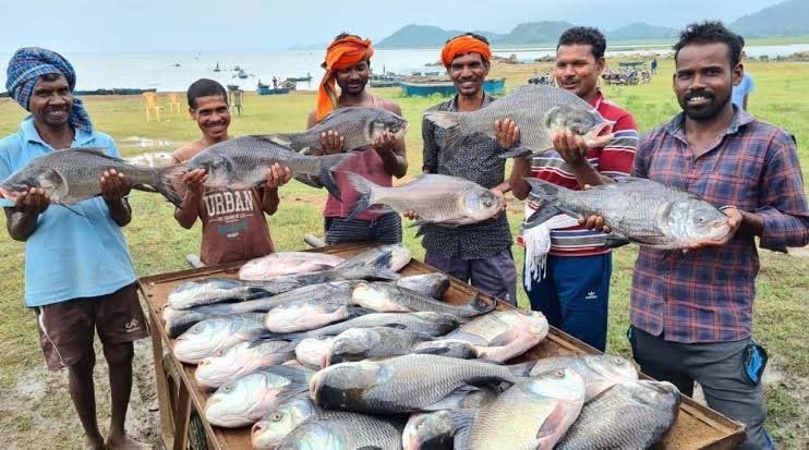 रायपुर : विशेष लेख : ‘नीली क्रांति’ से समृद्धि की ओर : मछली पालन बना ग्रामीण विकास, रोजगार और आत्मनिर्भरता का नया आधार