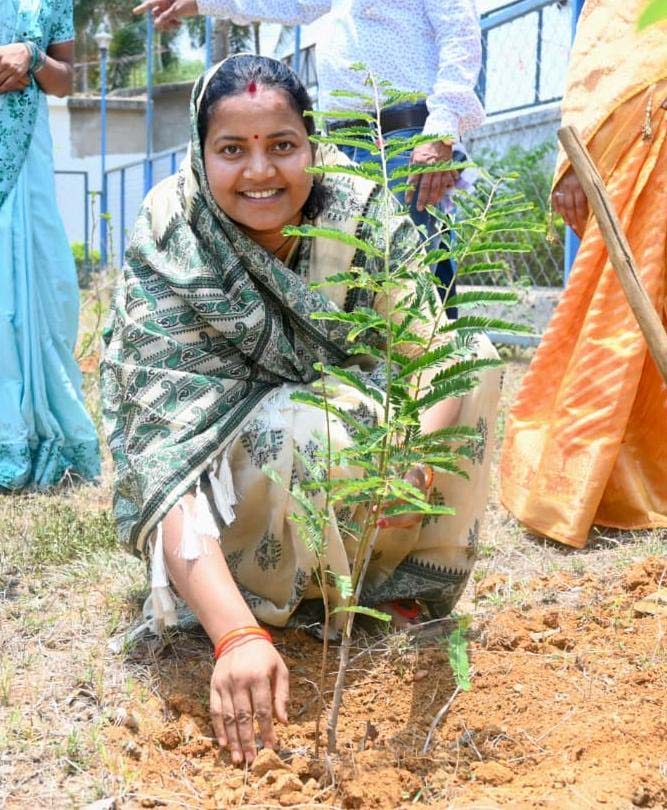 रायपुर : विश्व पर्यावरण दिवस पर मंत्री लक्ष्मी राजवाड़े ने किया पौधरोपण