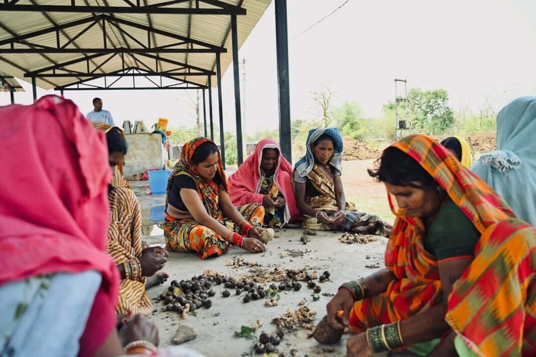 रायपुर : सीड बॉल अभियान के साथ हरियाली की नई शुरुआत