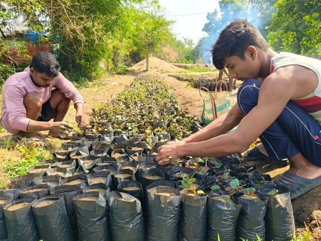 रायपुर : तसर पालन को बढ़ावा देने नर्सरी प्रशिक्षण आयोजित