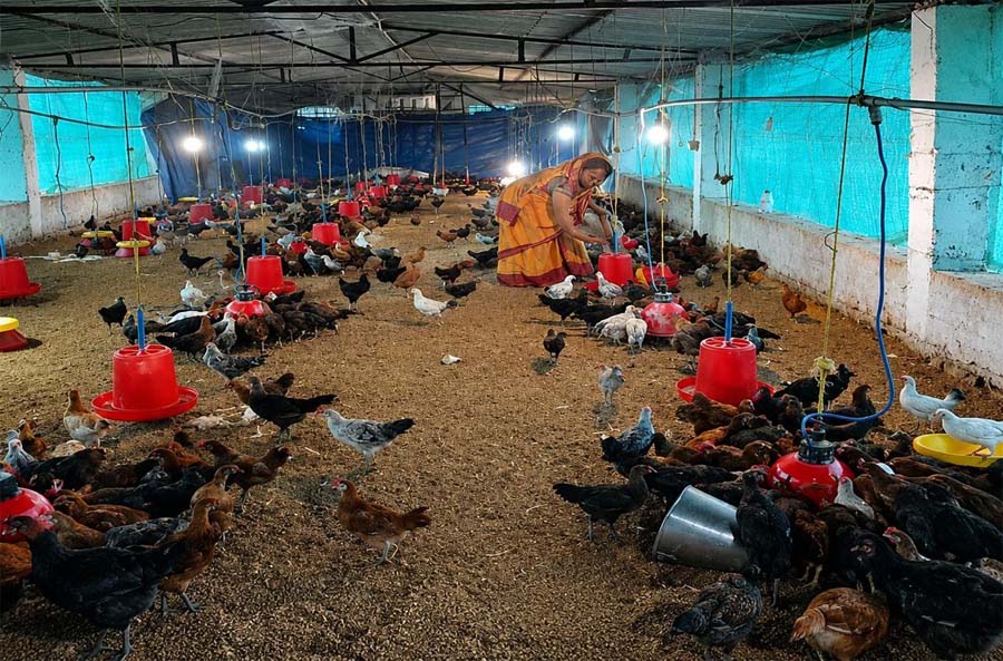रायपुर : मजदूरी करने वाली रानी यादव बनी गांव की सफल महिला व्यवसायी