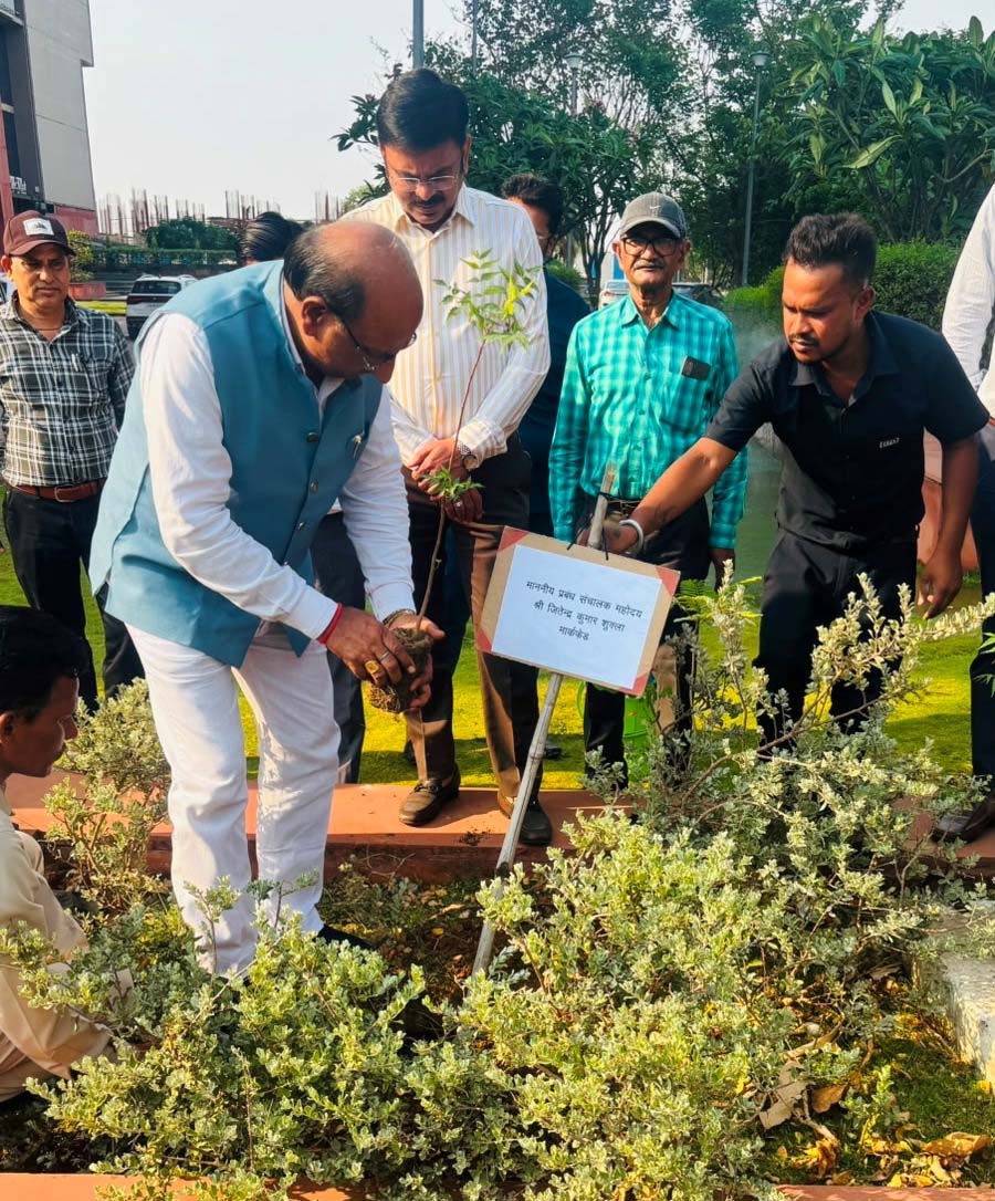 रायपुर : पर्यावरण दिवस पर मार्कफेड में वृक्षारोपण
