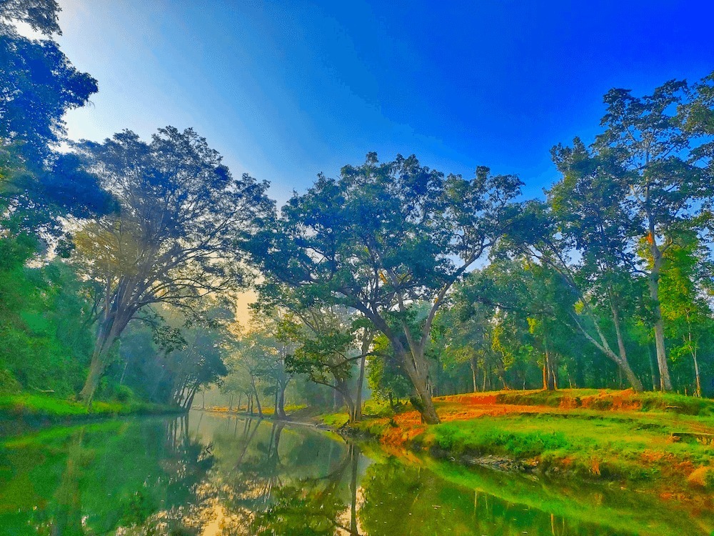 रायपुर : विशेष लेख : विश्व पर्यावरण दिवस 2026 : हरित विकास, जल संरक्षण और जनभागीदारी से पर्यावरणीय समृद्धि की ओर बढ़ता छत्तीसगढ़