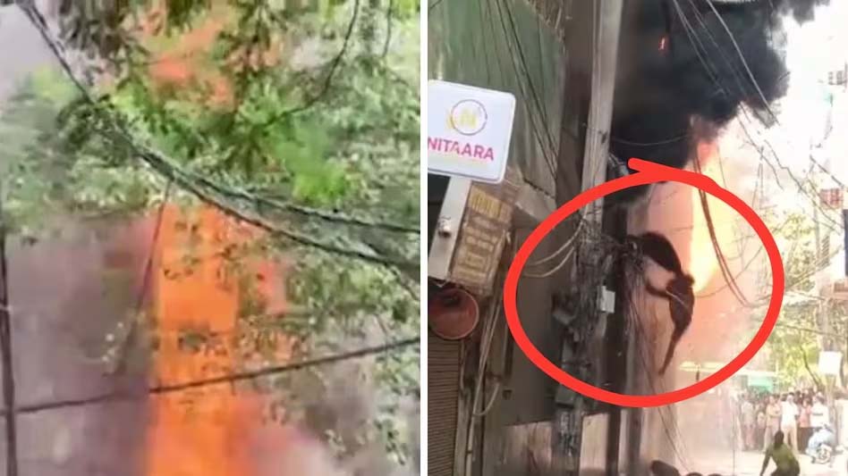 Breaking News: दिल्ली के मालवीय नगर के होटल में आग, हादसे में 21 की मौत, इनमें बांग्लादेश-अफ्रीकी देशों के 17 नागरिक; बिना फायर NOC चल रहा था, होटल में 6 रूम की परमिशन थी, लेकिन 25 कमरे थे