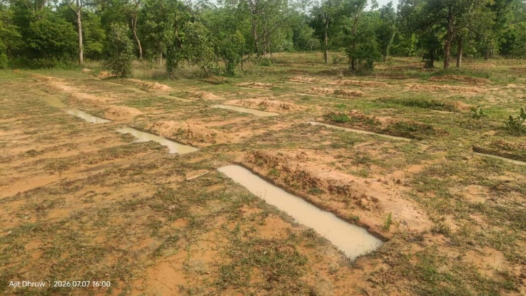 रायपुर : मानसून में तेज़ हुई वन संरक्षण गतिविधियाँ, जल संरक्षण से हरियाली और वन सुरक्षा को मिल रहा नया बल