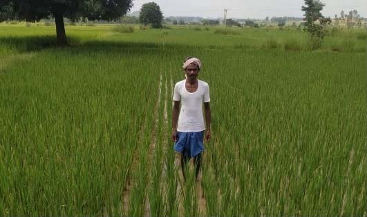 रायपुर : खगपति ने बदला खेती का तरीका, पारंपरिक से आधुनिक कृषि अपनाकर की अपनी आय दोगुनी