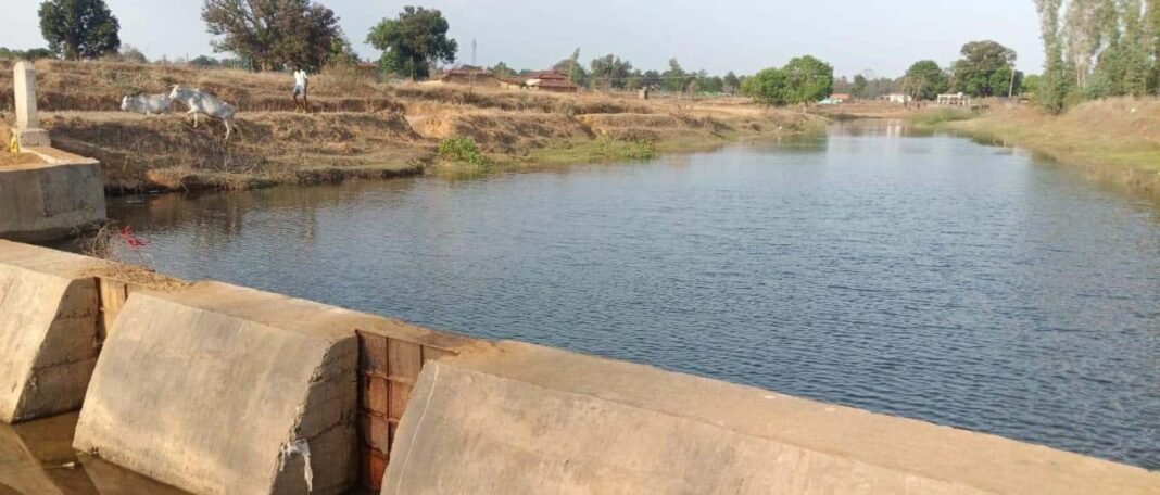 रायपुर : मनरेगा का चेक डेम बना किसानों की नई उम्मीद, 12.5 एकड़ खेतों तक पहुंचेगा सिंचाई का पानी