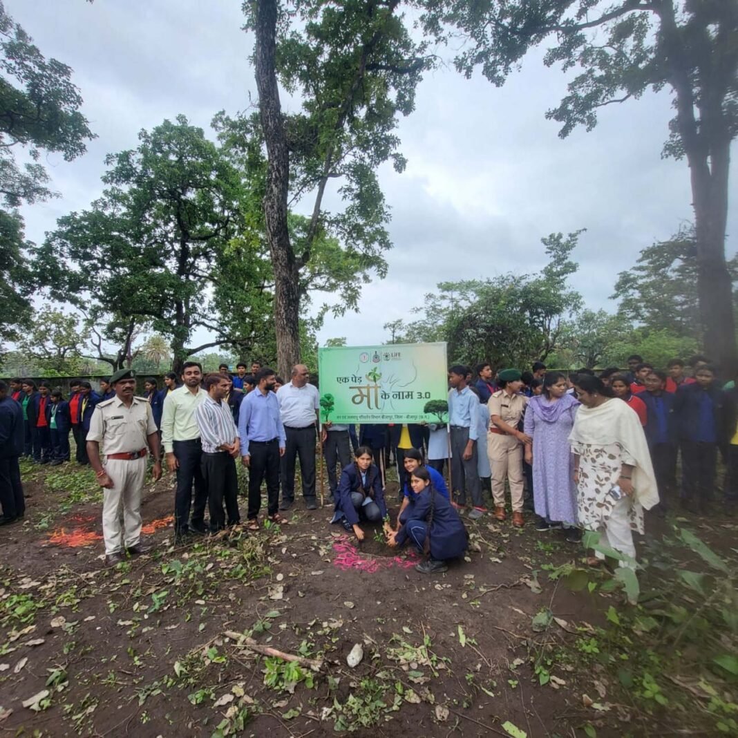 रायपुर : वन मंत्री की पहल पर बीजापुर में शुरू हुआ जिले का पहला ‘ट्री एटीएम’