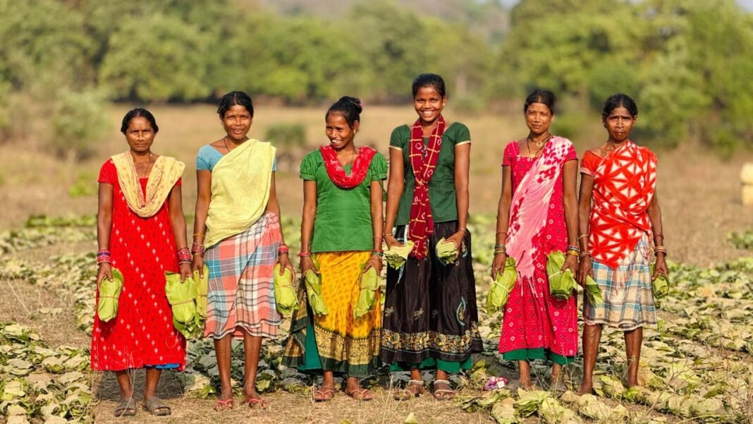 रायपुर : सुकमा के तेंदूपत्ता संग्राहकों को बड़ी राहतरू 42 हजार से अधिक परिवारों के खातों में पहुंचे 40.72 करोड़ रूपए DBT से हुआ पारदर्शी भुगतान