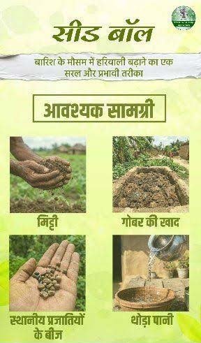 रायपुर : विशेष लेख : सीड बॉल अभियान- हरियाली बढ़ाने का सरल और प्रभावी माध्यम