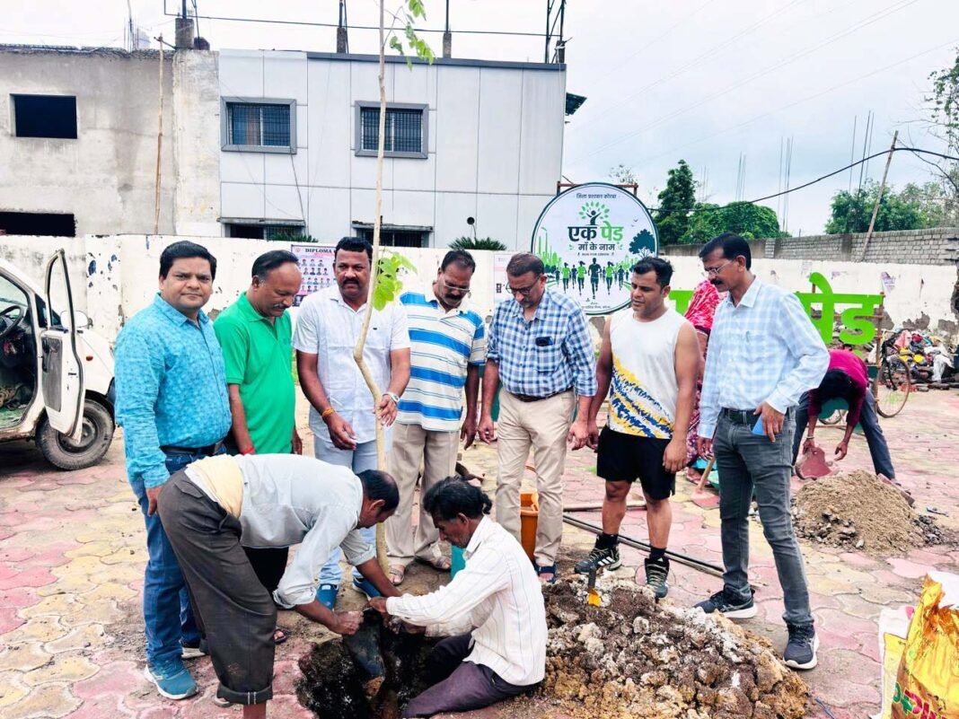KORBA : ’’एक पेड़ माॅं के नाम’’ अभियान अंतर्गत सियान सदन के समीप किया गया वृक्षारोपण