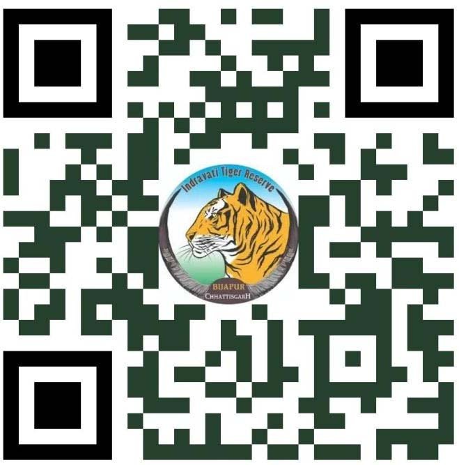 रायपुर : अंतरराष्ट्रीय बाघ दिवस पर होगा ‘रन फॉर इंद्रावती’ मैराथन का आयोजन