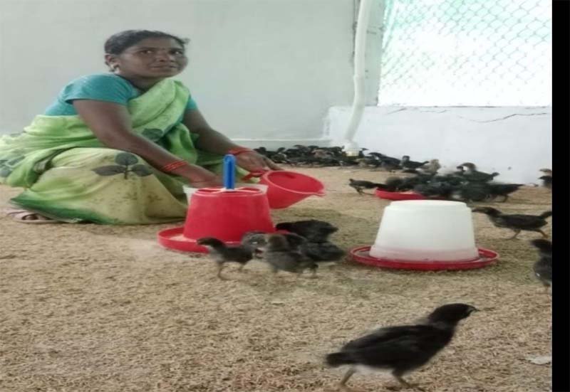 ​रायपुर : ​संघर्ष से सम्मान तक : बिहान और उन्नत मुर्गीपालन से बदली नारायणपुर की सुनीता की तकदीर