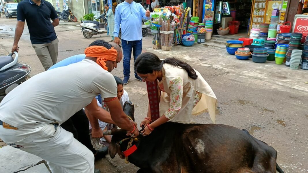 KORBA : कलेक्टर के निर्देश पर सड़क पर घूमने वाले आवारा मवेशियों के विरुद्ध अभियान तेज