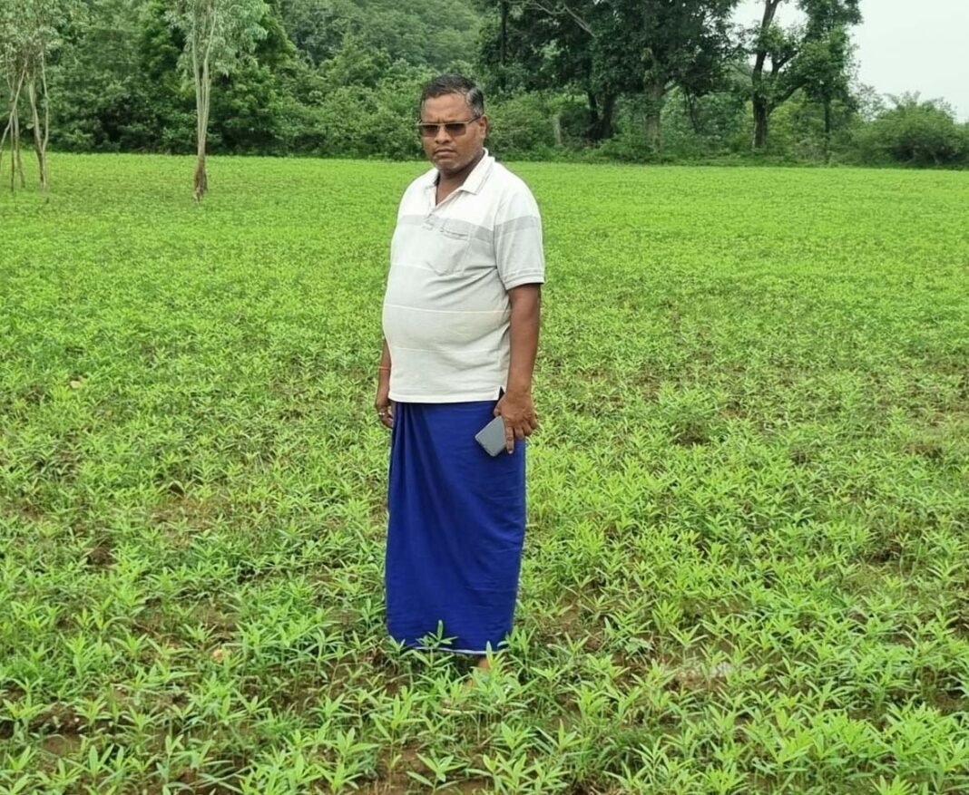 रायपुर : धान से आगे बढ़कर सन की खेती अपनाने वाले किसान सुखदेव सिदार बने फसल विविधीकरण की मिसाल