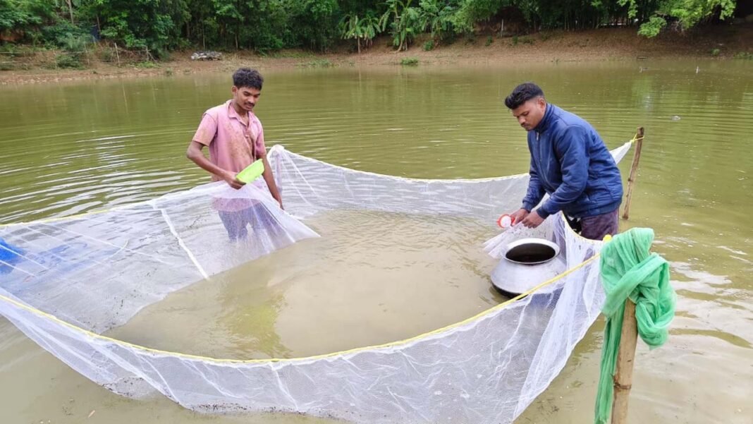 रायपुर : बस्तर की मनकी बघेल ने स्पान संवर्धन योजना से 2 माह में कमाए 15 हजार रुपये