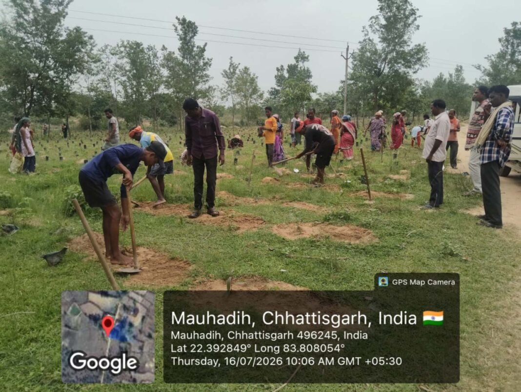 रायपुर : जशपुर जिले में 2 लाख 72 हजार साजा-अर्जुना पौधों का पौधरोपण शुरू